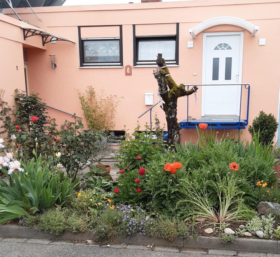 Apartament Flat Offenburg Zewnętrze zdjęcie